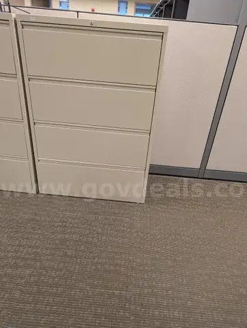 Multiple File Cabinets For Auction