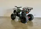 FREE SHIPPING - NEW 2025 - 125cc Utility ATV – Automatic w/ Reverse – Mid-Size Quad