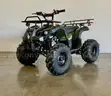 FREE SHIPPING - NEW 2025 - 125cc Utility ATV – Automatic w/ Reverse – Mid-Size Quad