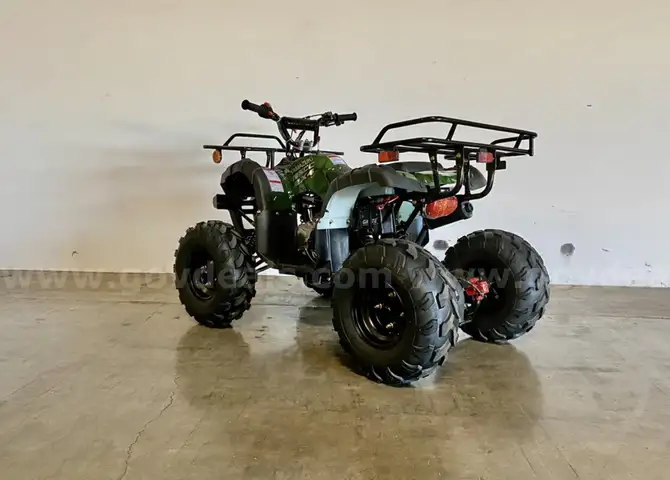 FREE SHIPPING - NEW 2025 - 125cc Utility ATV – Automatic w/ Reverse – Mid-Size Quad