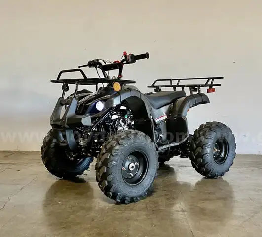FREE SHIPPING - NEW 2025 - 125cc Utility ATV – Automatic w/ Reverse – Mid-Size Quad