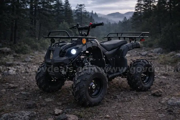 FREE SHIPPING - NEW 2025 - 125cc Utility ATV – Automatic w/ Reverse – Mid-Size Quad