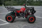FREE SHIPPING - NEW 2026 200cc 4-Wheeler ATV Automatic DNR Transmission NEW