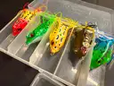 Free Shipping New Lot of 25 Hollow Body Frog Fishing Lures w Case Top Water