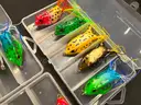 Free Shipping New Lot of 25 Hollow Body Frog Fishing Lures w Case Top Water