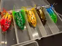 Free Shipping New Lot of 25 Hollow Body Frog Fishing Lures w Case Top Water