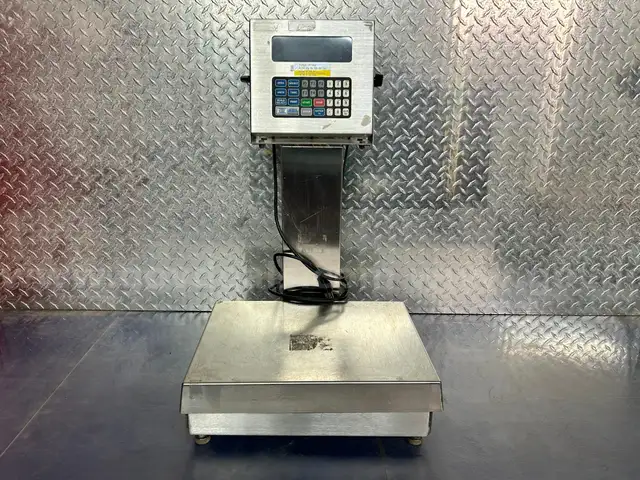 Doran Scale System W GSE 651 &#x2013; Monitor/System Model: 651 &#x2013; Scale Model: DSP 2100 &#x2013; SHIPS FOR $50 USA