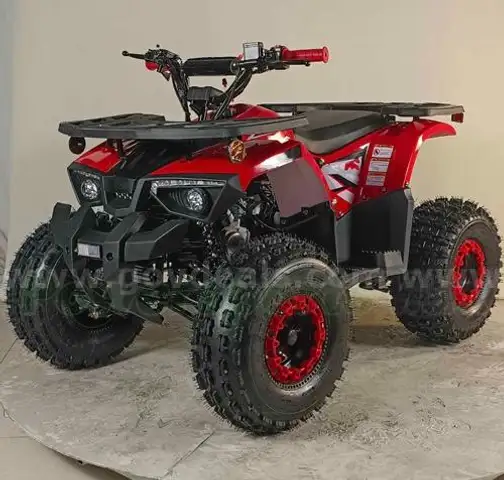 FREE SHIPPING - NEW 2025 - Four Wheeler 125cc - Factory Sealed
