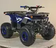FREE SHIPPING - NEW 2025 - Four Wheeler 125cc - Factory Sealed