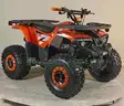 FREE SHIPPING - NEW 2025 - Four Wheeler 125cc - Factory Sealed