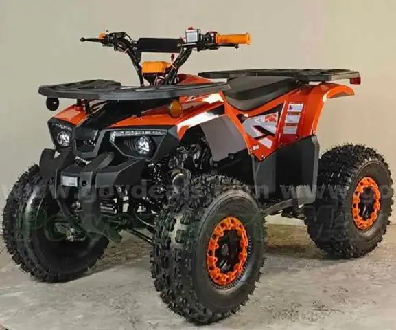 FREE SHIPPING - NEW 2025 - Four Wheeler 125cc - Factory Sealed