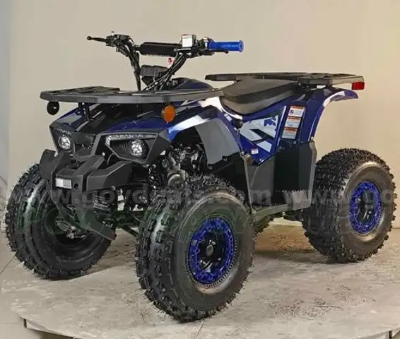 LOT OF 2 - FREE SHIPPING - NEW 2025 - Four Wheeler 125cc - Factory Sealed