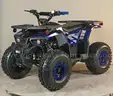 LOT OF 2 - FREE SHIPPING - NEW 2025 - Four Wheeler 125cc - Factory Sealed