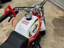 Free Shipping - Brand New - 2025 Mini Dirt Bike 40cc