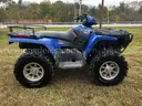 Polaris Sportsman 500 with Snow Plow and Wench - RUNS GREAT