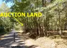 LAND NEAR THE LAKE! SCHOOLS! RIVER! PARKS! CASINO! In Beautiful BOOMTOWN Pine Bluff, AR! NO RESERVE!