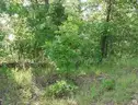WALK TO BEAUTIFUL LAKE GALILEE! In the Ozark Mountains! NEAR LAKES! RIVER! GOLF! Parks! Schools! Businesses! NO RESERVE!