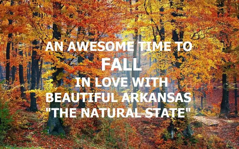 WALK TO LAKE GALILEE! Ltd Warranty Deed! No Back Taxes! In Ozark Mountains! LAKES! RIVER! GOLF! Businesses! No Reserve!