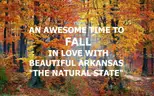 WALK TO LAKE GALILEE! Ltd Warranty Deed! No Back Taxes! In Ozark Mountains! LAKES! RIVER! GOLF! Businesses! No Reserve!