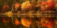 WALK TO LAKE GALILEE! Ltd Warranty Deed! No Back Taxes! In Ozark Mountains! LAKES! RIVER! GOLF! Businesses! No Reserve!