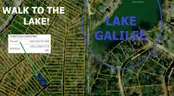 WALK TO LAKE GALILEE! Ltd Warranty Deed! No Back Taxes! In Ozark Mountains! LAKES! RIVER! GOLF! Businesses! No Reserve!