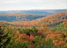 WALK TO LAKE GALILEE! Ltd Warranty Deed! No Back Taxes! In Ozark Mountains! LAKES! RIVER! GOLF! Businesses! No Reserve!