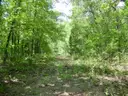 WALK TO LAKE GALILEE! Ltd Warranty Deed! No Back Taxes! In Ozark Mountains! LAKES! RIVER! GOLF! Businesses! No Reserve!