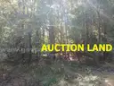LAND NEAR THE LAKE! SCHOOLS! RIVER! PARKS! CASINO! In Beautiful BOOMTOWN Pine Bluff, AR! NO RESERVE!
