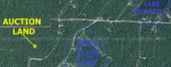 Walk to Wild Plum Lake in Ozark Mtns! Near Lakes, River, Golf, Parks, &#x26; More! No Reserve, Priced to Sell!
