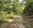 Walk to Wild Plum Lake in Ozark Mtns! Near Lakes, River, Golf, Parks, &#x26; More! No Reserve, Priced to Sell!