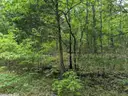 Walk to Wild Plum Lake in Ozark Mtns! Near Lakes, River, Golf, Parks, &#x26; More! No Reserve, Priced to Sell!