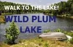Walk to Wild Plum Lake in Ozark Mtns! Near Lakes, River, Golf, Parks, &#x26; More! No Reserve, Priced to Sell!