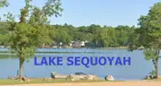 Walk to Wild Plum Lake in Ozark Mtns! Near Lakes, River, Golf, Parks, &#x26; More! No Reserve, Priced to Sell!
