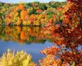Walk to Wild Plum Lake in Ozark Mtns! Near Lakes, River, Golf, Parks, &#x26; More! No Reserve, Priced to Sell!