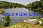 Walk to Wild Plum Lake in Ozark Mtns! Near Lakes, River, Golf, Parks, &#x26; More! No Reserve, Priced to Sell!