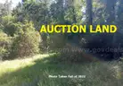 WALK TO THE PARK!  Partly Cleared LAND! Near LAKE! SCHOOLS! RIVER! PARKS! CASINO! In BOOMTOWN Pine Bluff, AR! NO RESERVE