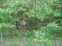 WALK TO BEAUTIFUL LAKE GALILEE! In the Ozark Mountains! NEAR LAKES! RIVER! GOLF! Parks! Schools! Businesses! NO RESERVE!