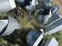 Musco Control Link and lighting