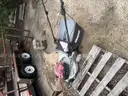 Masport Push Mower