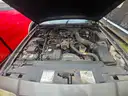 2008 Gold Ford Crown Victoria