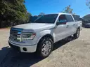 2014 Ford F-150 Platinum SuperCrew 5.5-ft. Bed 4WD