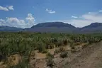 Near Big Bend Ranch State Park, 10.07 acres Texas, Power, Road Frontage, Mtn views