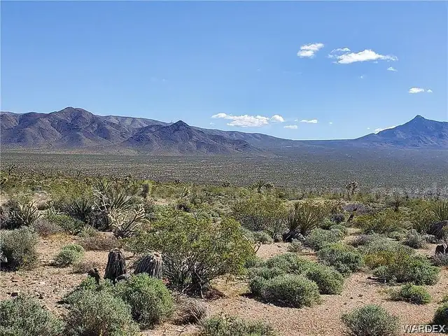 Nice Building/RV Lot, Arizona 0.20 Acre Mountain Lot , Road Frontage, 3190&#x27; Elevation, with Stunning Views -