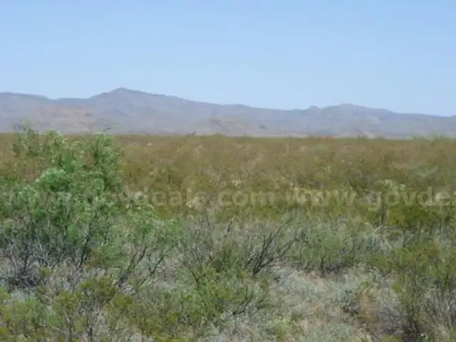 10 acres South of Dell City Texas, Just East Off Paved FM 1111, Nice Terrain
