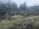 Iron Gate Lake Area Near Klamath River, 3.3 Treed Acres Northern California Building View Lot, Road Frontage