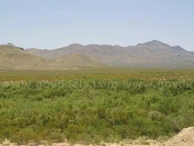 10.2 Acres in Dell City, Texas, Power, Views,Road Frontage, 2 miles off Hwy 62