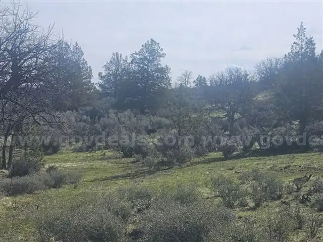 Northern California, Klamath River, 2.5 Treed AC with Power, Building View Lot, Road Frontage on Erick Lane