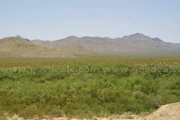 Price Reduction Sale,10.07 Acres in Dell City, Texas,Views, Just south of FM 2249, Road frontage