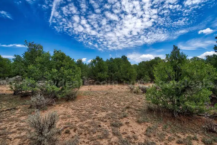 Taos, New Mexico Power, 1/4 acre Lot,Road Frontage, Right off Hwy 64, 7500&#x27; Elevation