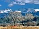 1/4 acre Colorado River, Right off County Rd 14th St Stunning Rio Grande River Subdivision